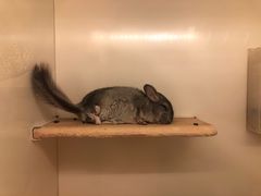 -龙猫仔乐园(惠福东路店)