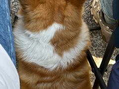 -肥朵食堂(带梦胡同店)