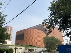 -中国宋庆龄青少年科技文化交流中心