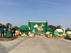 -上海都市菜园