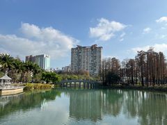 -四海公园(南山区)