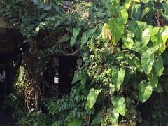 门面-DOI CHAANG Caffè Maesuai