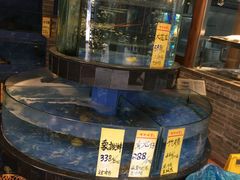 水产区-寻味顺德·珍之宝酒楼(银钻店)