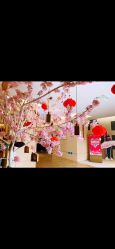 -爱弥儿月子中心(省医院店)