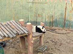 -沈阳森林动物园