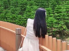 -迪茵湖田家舍生态农场