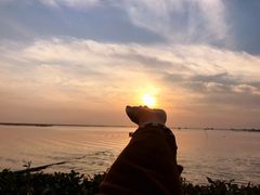 -洪泽湖古堰景区