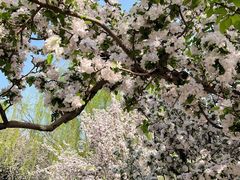 -元大都城垣遗址公园