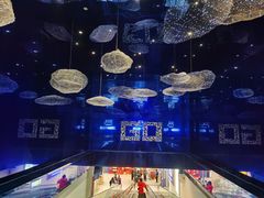 -盒马X会员店(上海森兰商都店)