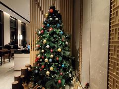 -嘉定凯悦·咖啡厅