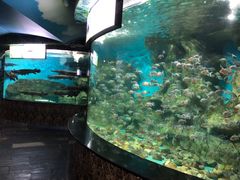 -大明湖海底世界