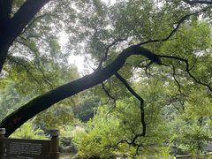 -东湖落雁景区