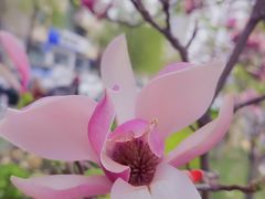 -军事博物馆(地铁站)