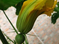 -万源龙顺度假庄园生态观光园