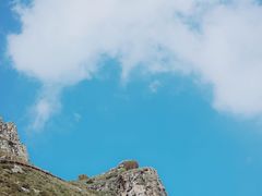 -灵山