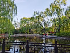 -玲珑塔公园