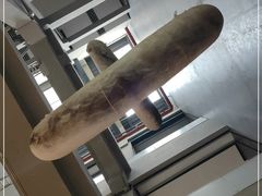 -上海当代艺术博物馆