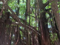 -胡里山炮台