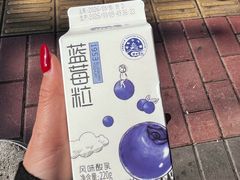 -金牌罗记肠旺面(蔡家街店)