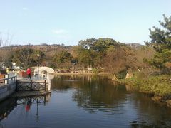 -白马涧龙池景区