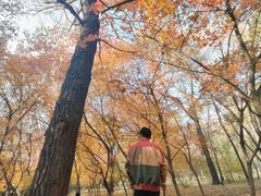 -森林公园(尖草坪区)