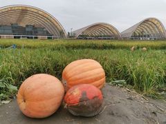 -中国天府农业博览园