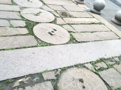 -龙潭水乡