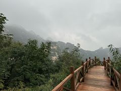 -大岭沟猕猴桃谷风景区