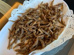 -野菌皇海景野生菌火锅(滨海大道店)