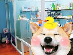 -拜鲁耶动物诊疗中心·宠家动物医院