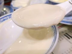 招牌姜撞奶-捷信牛奶甜品世家(五道口店)