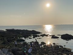 -养马岛旅游度假区