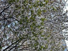 -唐城墙遗址公园