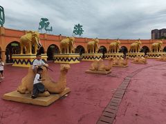 -中国死海旅游度假区