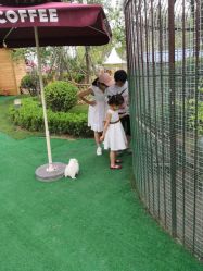 -萌宠亲子动物乐园(槐房万达店)