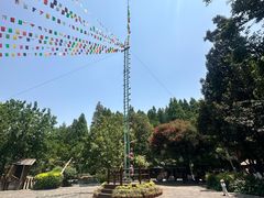 -云南民族村
