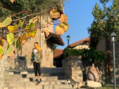 -梅黛奥拉修道院