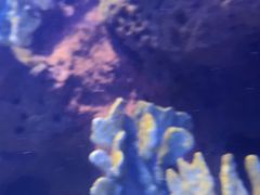 -多彩贵州城极地海洋世界