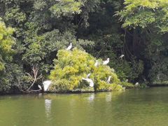 -燕晗山郊野公园