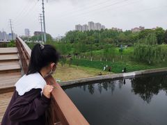 -四里河滨水生态公园