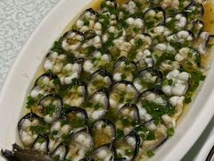 -呼吸森林·生态农庄农家乐私房菜