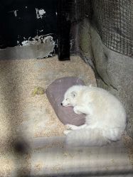 -酷嗒动物文化乐园(cutezoo西溪乐天城店)