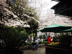 iphone_upload_pic-玛格萝妮比萨屋(四平店)