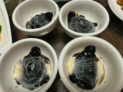 -东鸽皇(奥园·中环广场店)