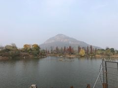 -桃花岛景观公园