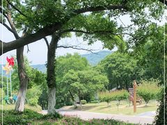 -南京老山国家森林公园