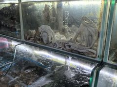 -罗源湾8号渔排