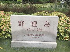 -野狸岛