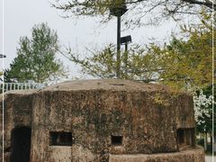 -莫子山公园