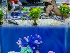 -上海海昌海洋公园
